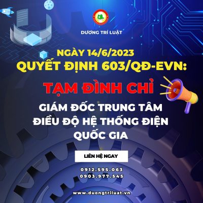 Tạm đình chỉ Giám đốc Tập đoàn Điện lực Việt Nam (EVN)