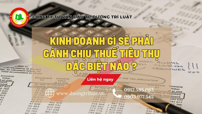 KINH DOANH GÌ SẼ PHẢI GÁNH CHỊU THUẾ TIÊU THỤ ĐẶC BIỆT ? 1